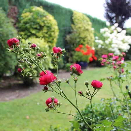 Apartmán Ruwald Bad Zwischenahn