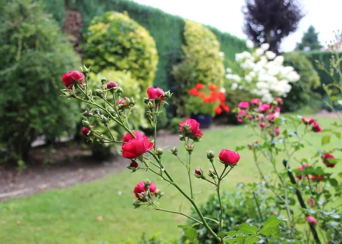 Appartement Ruwald Bad Zwischenahn